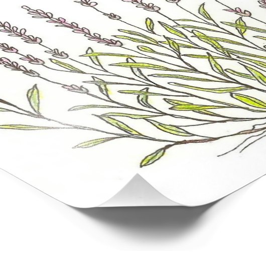Lavender Sketch Print Foto Afdruk (Hoek)