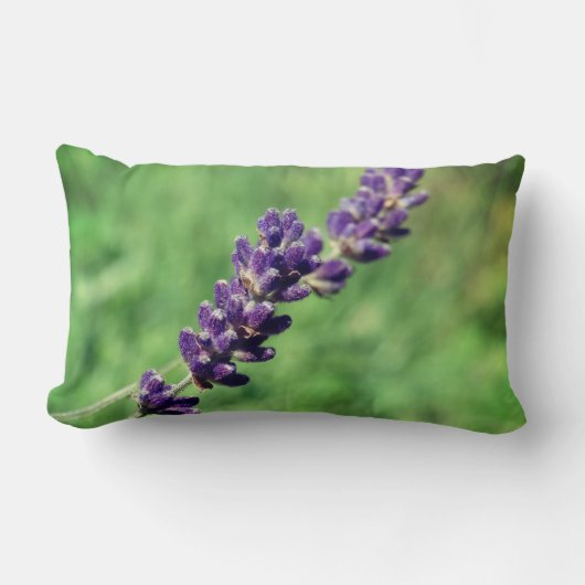 Lavender Stalk Photo Lumbar Cushion Kussen (Voorkant)