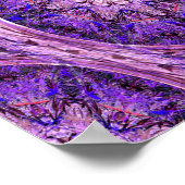 Lavender Stars..... Poster (Hoek)