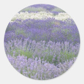 Lavender Sticker (Voorkant)