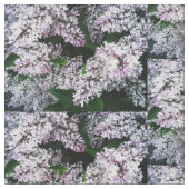 LAVENDER STOF (Close Up)