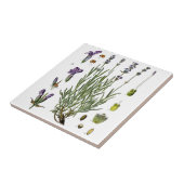 Lavender Tegeltje (Zijkant)