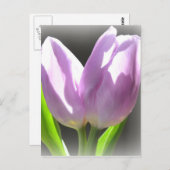 Lavender Tulips Post Card Briefkaart (Voorkant / Achterkant)