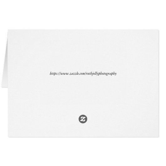 Lavender van de Oceaan, Dank je. (Achterkant Horizontaal)