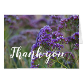 Lavender van de Oceaan, Dank je.