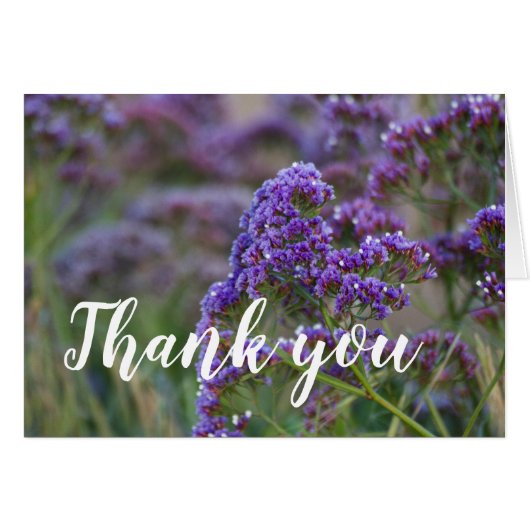 Lavender van de Oceaan, Dank je. (Voorkant Horizontaal)