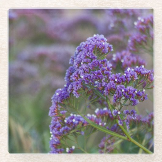 Lavender van de oceaan glazen onderzetter (Voorkant)