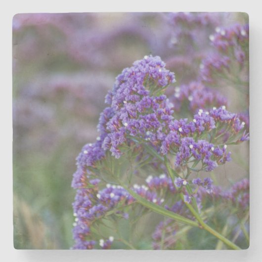Lavender van de oceaan stenen onderzetter (Voorkant)