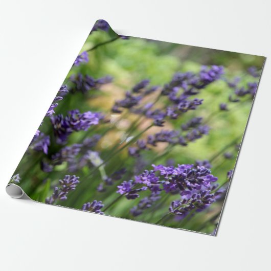 Lavender-veld Cadeaupapier (Uitgerold)