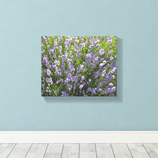Lavender-veld Canvas Afdruk (Insitu (Houten vloer))