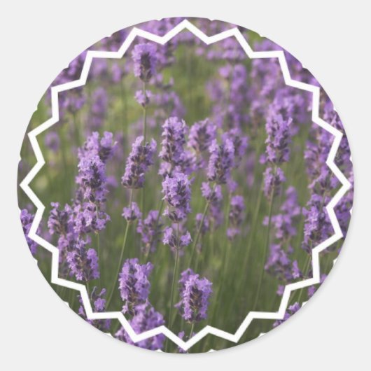 Lavender-veld Ronde Sticker (Voorkant)