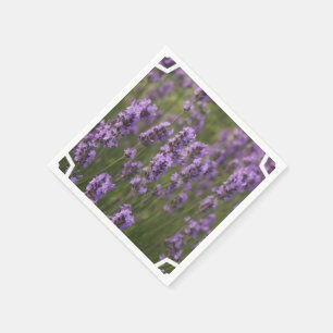 Lavender-veld Servetten