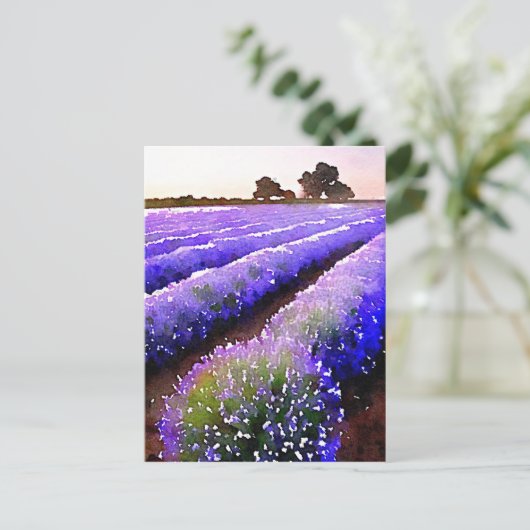 Lavender-velden Briefkaart (Staand voorkant)