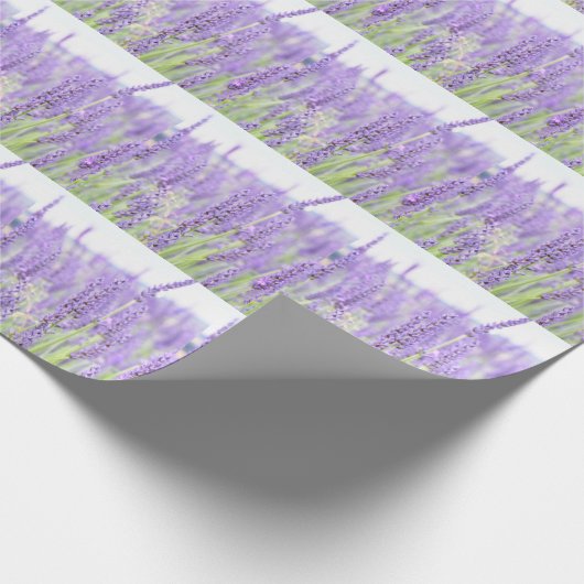 Lavender-velden fotografie, diverse geschenken cadeaupapier (Hoek)