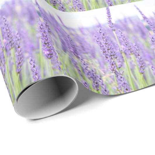 Lavender-velden fotografie, diverse geschenken cadeaupapier (Rol Hoek)
