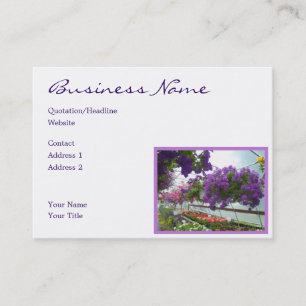 Lavender Verbena Paars Petunias Visitekaartje