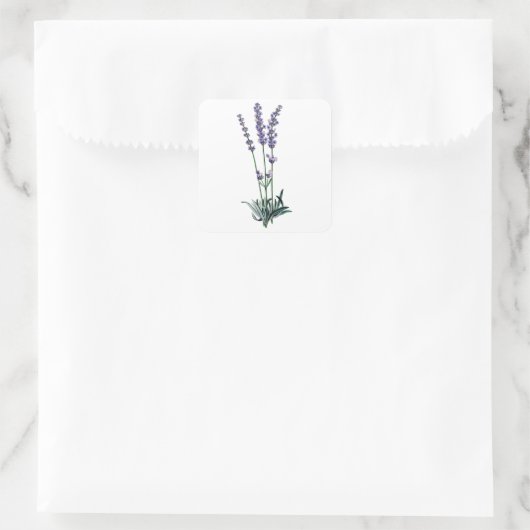 Lavender Vierkante Sticker (Tas)