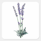 Lavender Vierkante Sticker (Voorkant)