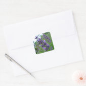 Lavender Vierkante Sticker (Envelop)