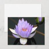 Lavender Water Lily Briefkaart (Voorkant / Achterkant)