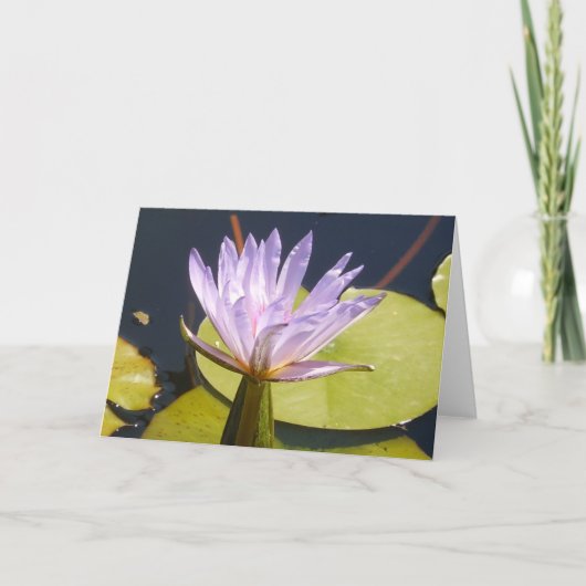 Lavender Water Lily Card Kaart (Voorkant)
