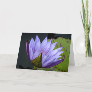 Lavender Water Lily Kaart