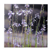 Lavender Wildbloemen Tegeltje (Voorkant)