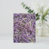 Lavenderbloem patroon briefkaart (Staand voorkant)