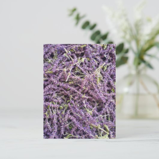 Lavenderbloem patroon briefkaart (Staand voorkant)