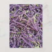 Lavenderbloem patroon briefkaart (Voorkant)