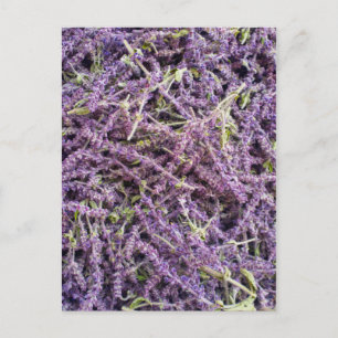 Lavenderbloem patroon briefkaart