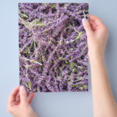 Lavenderbloem patroon flyer (Hand)
