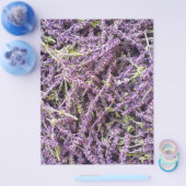 Lavenderbloem patroon flyer (Enkel)