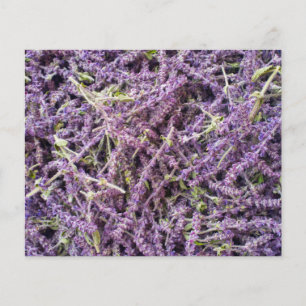 Lavenderbloem patroon flyer