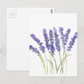 Lavenderbloemen Briefkaart (Voorkant / Achterkant)