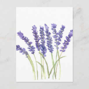 Lavenderbloemen Briefkaart