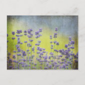 Lavenderbloemen Briefkaart (Voorkant)