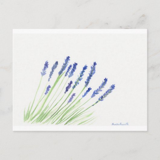 Lavenderbloemen Briefkaart (Voorkant)