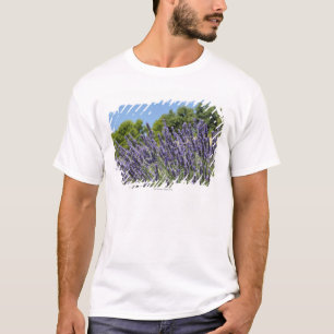 Lavenderbloemen in het veld in de zomer, Provence T-shirt
