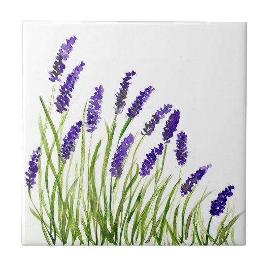 Lavenderbloemen kruiden paarse waterverf tegeltje (Voorkant)