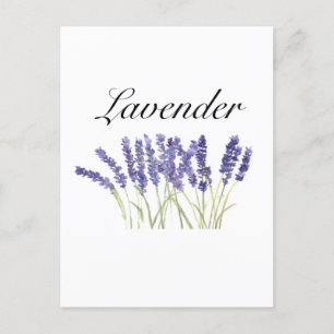 Lavenderbloemen waterverf kruiden paars chic briefkaart