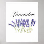 Lavenderbloemen waterverf kruiden paars chic poster (Voorkant)