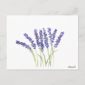 Lavenderbloemen waterverf Paarse Floral rustig Briefkaart (Voorkant)