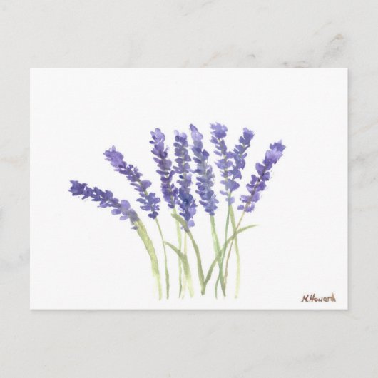 Lavenderbloemen waterverf Paarse Floral rustig Briefkaart (Voorkant)