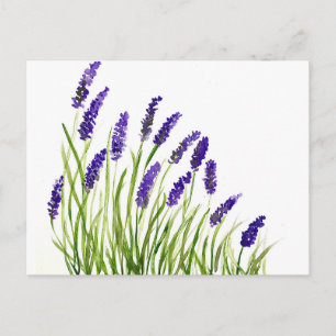 Lavenderbloemen waterverf Paarse Floral rustig Briefkaart