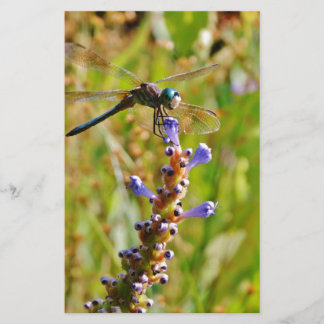 Lavenderbloemlibrie