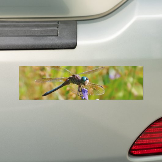 Lavenderbloemlibrie Bumpersticker (Op auto)