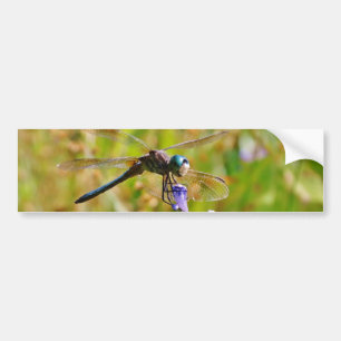 Lavenderbloemlibrie Bumpersticker