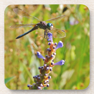 Lavenderbloemlibrie Drankjes Onderzetter