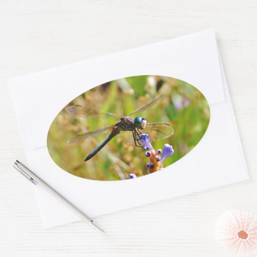 Lavenderbloemlibrie Ovale Sticker (Envelop)